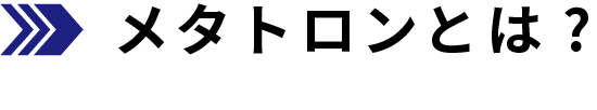 メタトロンとは